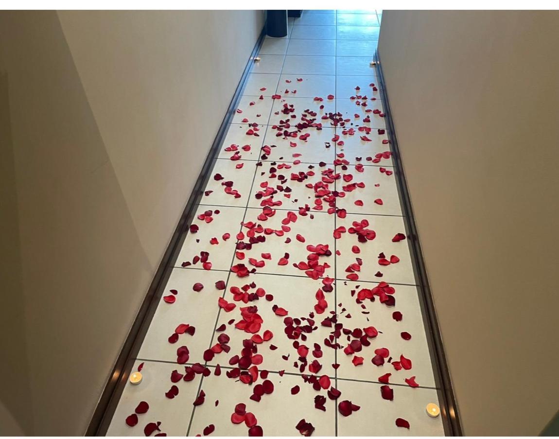Cocoon Apartment Victoria Ngoại thất bức ảnh